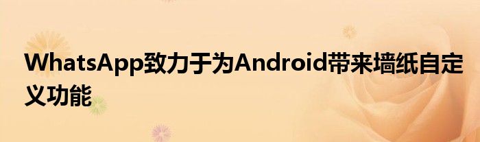 WhatsApp致力于为Android带来墙纸自定义功能