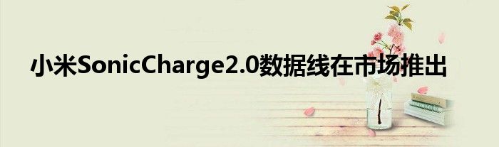 小米SonicCharge2.0数据线在市场推出