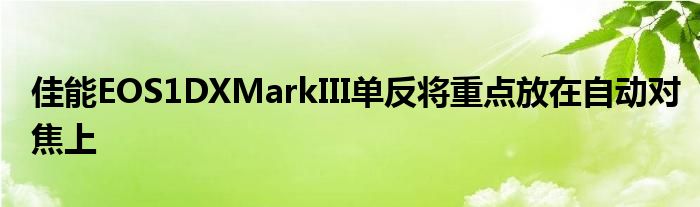 佳能EOS1DXMarkIII单反将重点放在自动对焦上