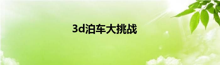 3d泊车大挑战