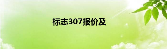 标志307报价及