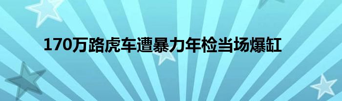 170万路虎车遭暴力年检当场爆缸