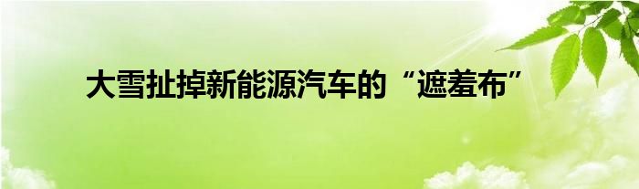 大雪扯掉新能源汽车的“遮羞布”
