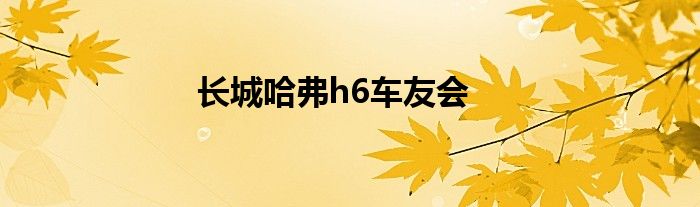 长城哈弗h6车友会