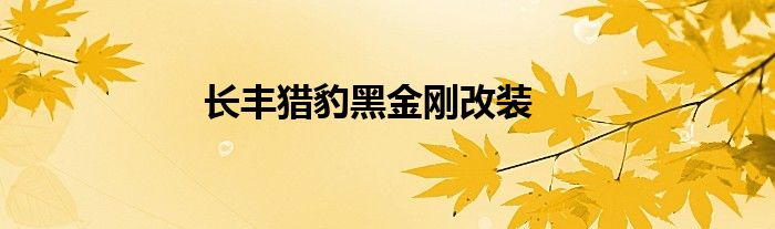 长丰猎豹黑金刚改装