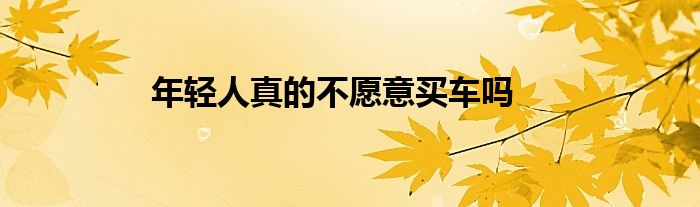 年轻人真的不愿意买车吗