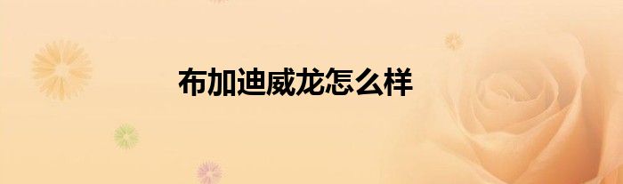 布加迪威龙怎么样