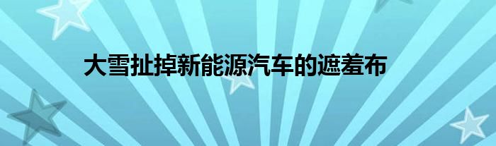 大雪扯掉新能源汽车的遮羞布