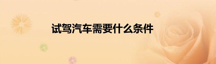 试驾汽车需要什么条件