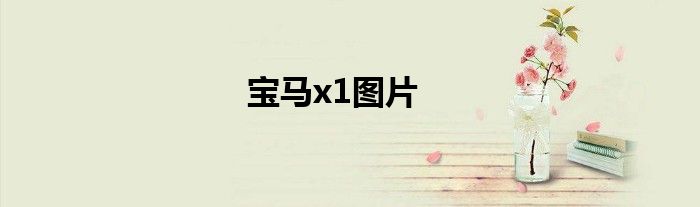 宝马x1图片
