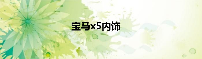 宝马x5内饰