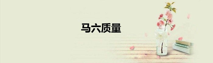 马六质量