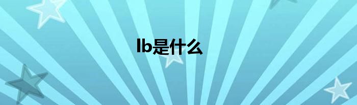 lb是什么