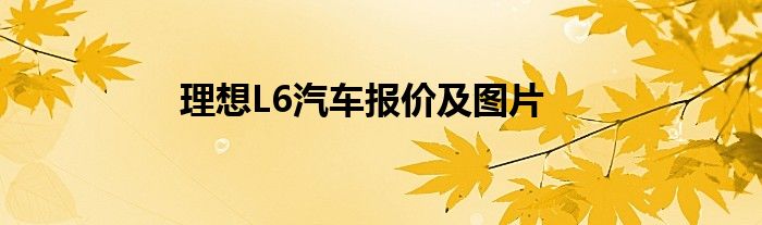 理想L6汽车报价及图片
