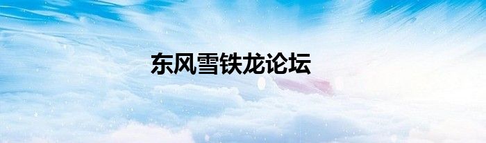 东风雪铁龙论坛