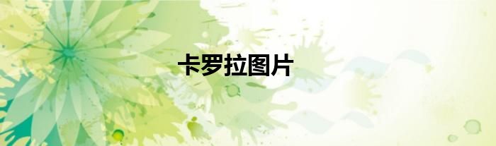 卡罗拉图片