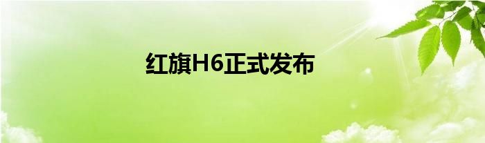 红旗H6正式发布