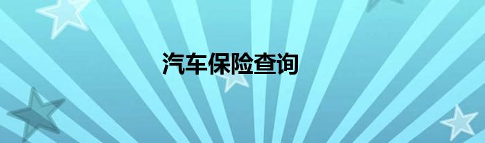 汽车保险查询