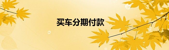 买车分期付款