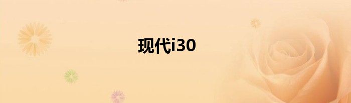 现代i30