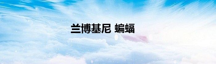 兰博基尼 蝙蝠