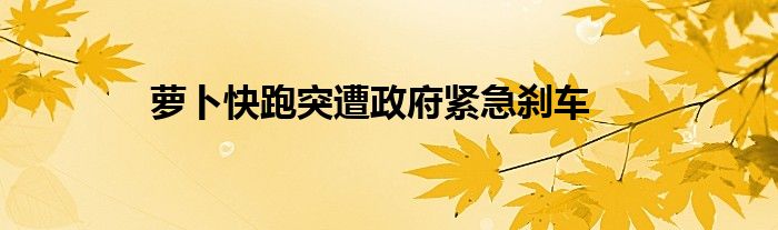 萝卜快跑突遭政府紧急刹车