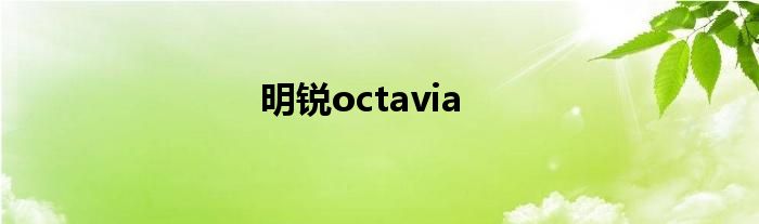 明锐octavia