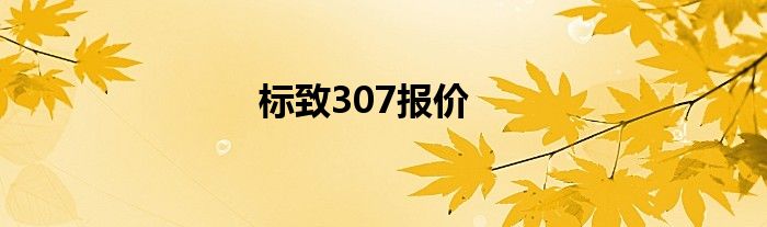 标致307报价