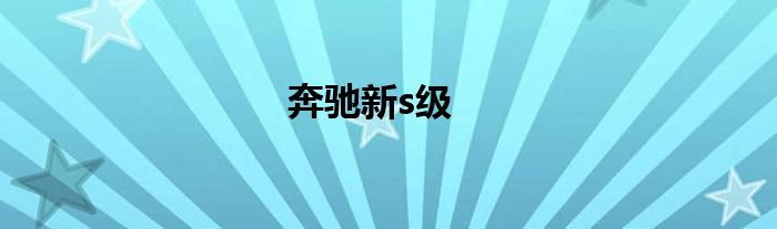 奔驰新s级