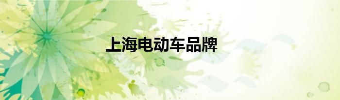 上海电动车品牌