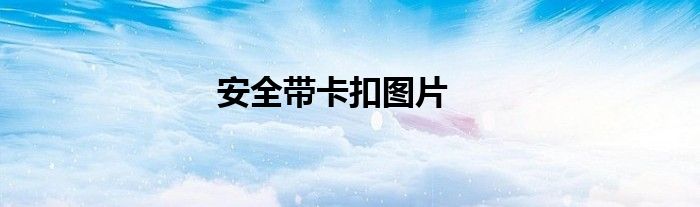安全带卡扣图片