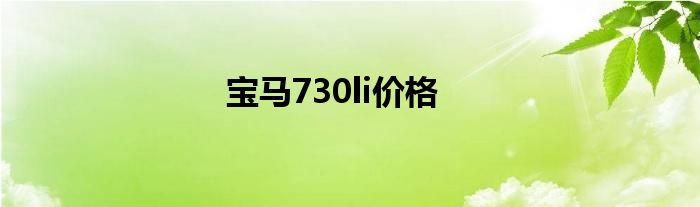 宝马730li价格