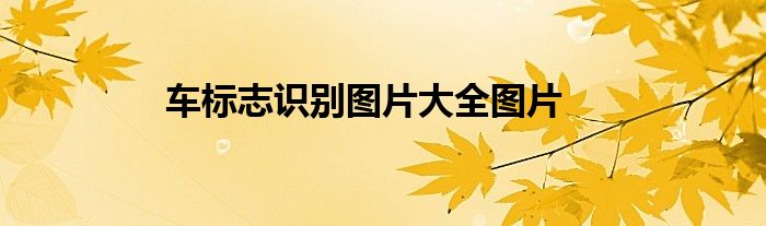 车标志识别图片大全图片