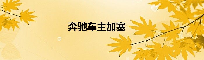 奔驰车主加塞