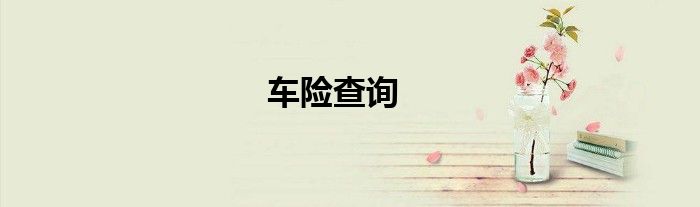 车险查询