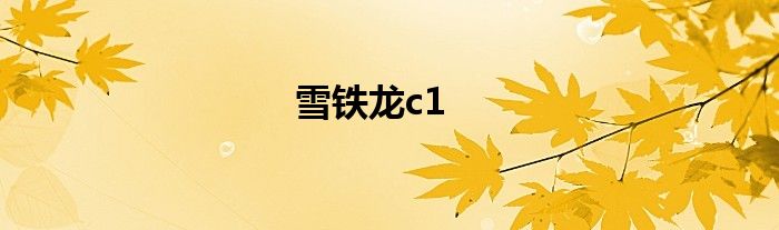 雪铁龙c1