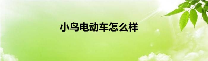 小鸟电动车怎么样