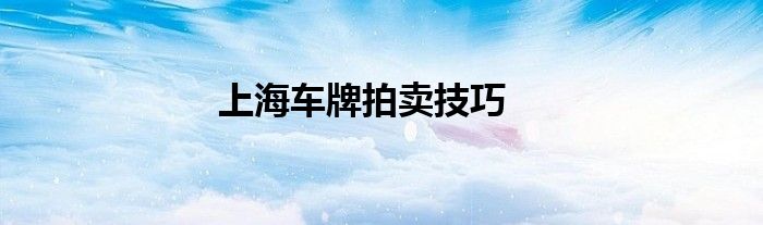 上海车牌拍卖技巧