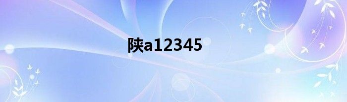 陕a12345