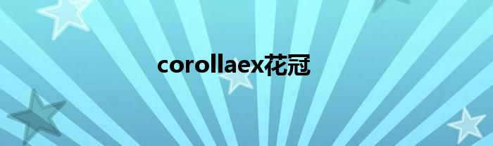 corollaex花冠