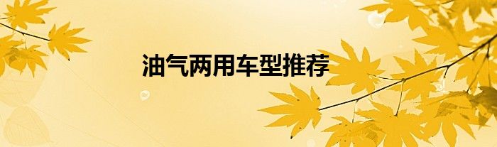 油气两用车型推荐