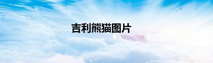 吉利熊猫图片