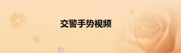 交警手势视频