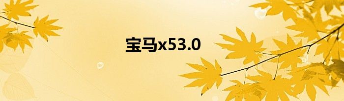 宝马x53.0