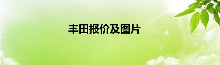 丰田报价及图片