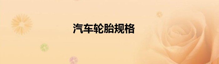 汽车轮胎规格