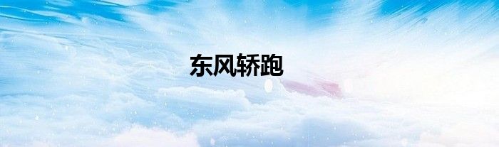 东风轿跑