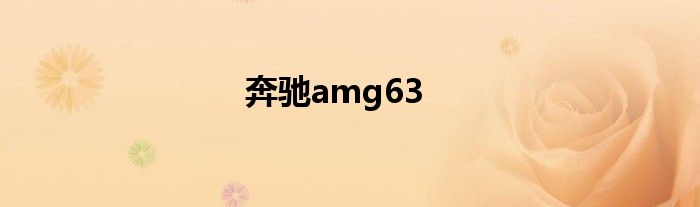 奔驰amg63