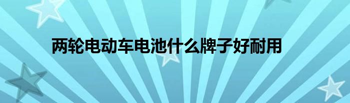 两轮电动车电池什么牌子好耐用