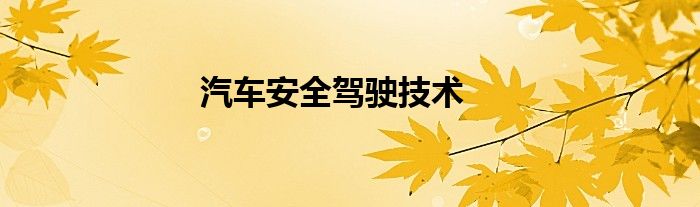 汽车安全驾驶技术